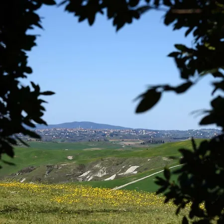 Podere Il Granaio - Crete Senesi - Tuscany 시에나